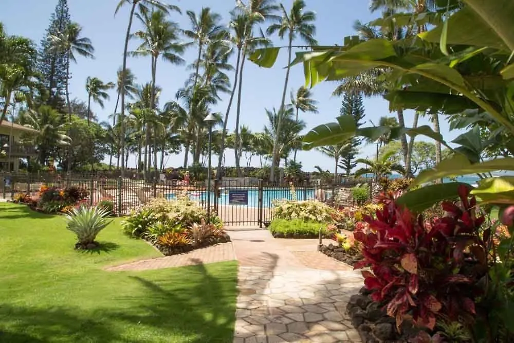 Apartment Lae Nani 333, Oceanview, Renovated And Gated Condo Kapa'a United States